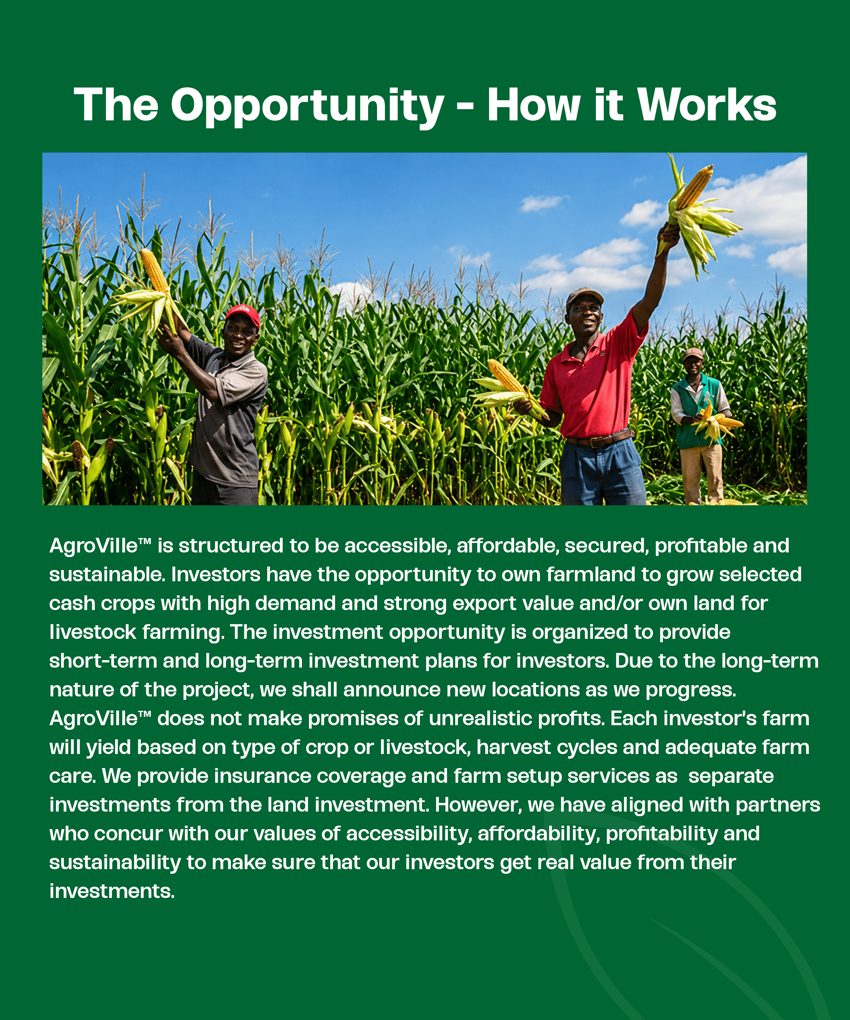 Farmers in corn field